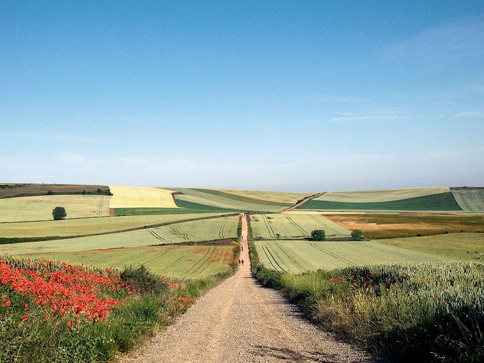 Camino de Santiago